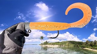 A Day of Lure Fishing Clearest Tropical Water EVER!! (Surprise Catch)
