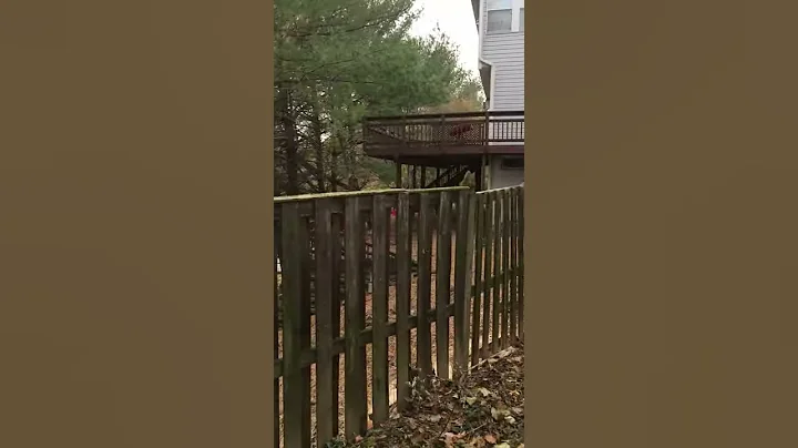 Deep can jump