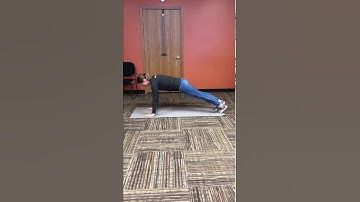 Plank Variation Compilation:  Best Core Exercises for Posture and Stability | The Almighty PLANK!