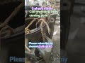 3 phase motor Connection sikhe Dosto #3phase #motor #viral #sikhe #short #@AinulAb