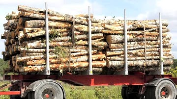 Chains & Chain Equipment - Chipping Norton Load Restraint Systems Pty Ltd