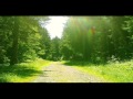Relax musica, natura, boschi, cascate, montagne, musica rilassante e melodiosa