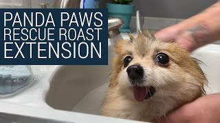 Panda Paws Rescue Roast Extended!