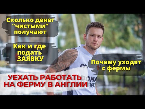 Как уехать работать на ферму в Англии. Вся правда о ферме.