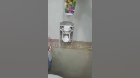 Dụng cụ lấy kem đánh răng tự động Ecoco ECC1703