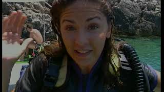 Adrenali̇n 42.Bölüm