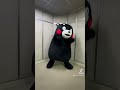 GOAT〜🤩むしゃんよか〜！！ #number_i #goat #平野紫耀 #神宮寺勇太 #岸優太 #dance #cool #くまモン #kumamon #kumamoto #熊本 #踊ってみた