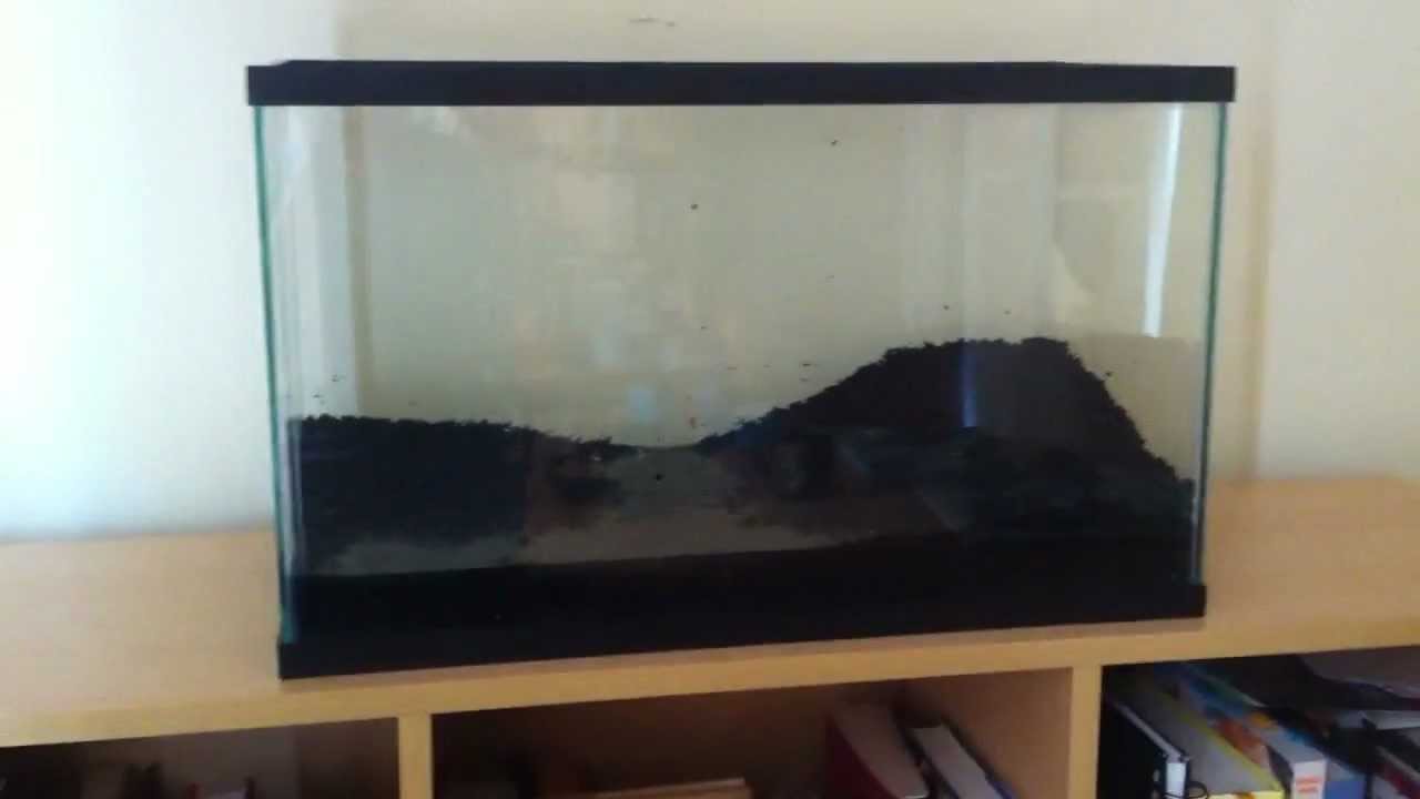 New 10g Setup Process (#1 - Substrate)