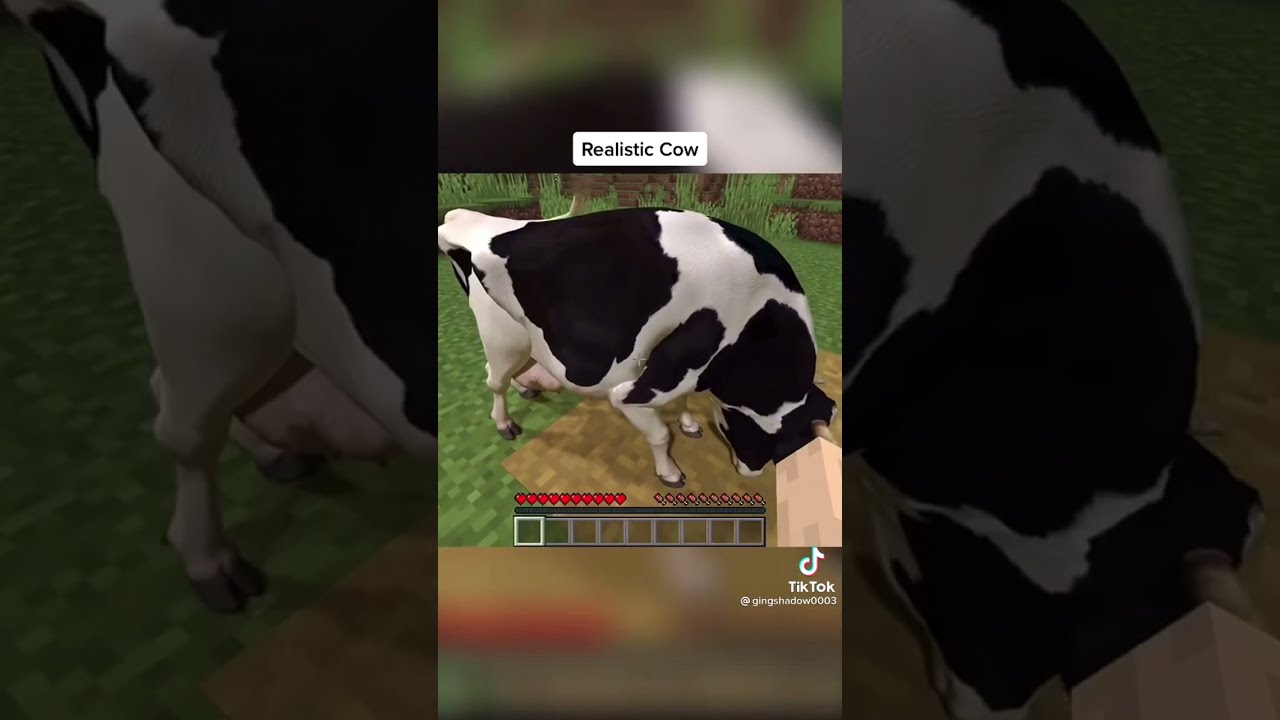 Minecraft Realistic Cow Shorts Mod Moddedminecraft Minecratcow