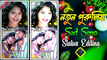 Pagla Pagli | পাগলা পগলী | New Purulia Sad Song Status Video Editing | Alite Motion Video Editing