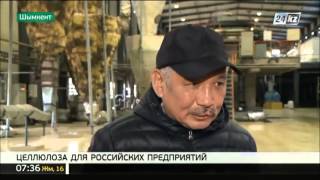 Шымкентский завод по выпуску целлюлозы увеличил поставки в Россию