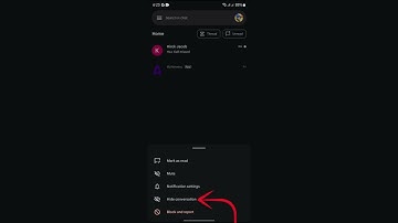How to Hide Conversation in Google Chat 2024 Like a PRO!