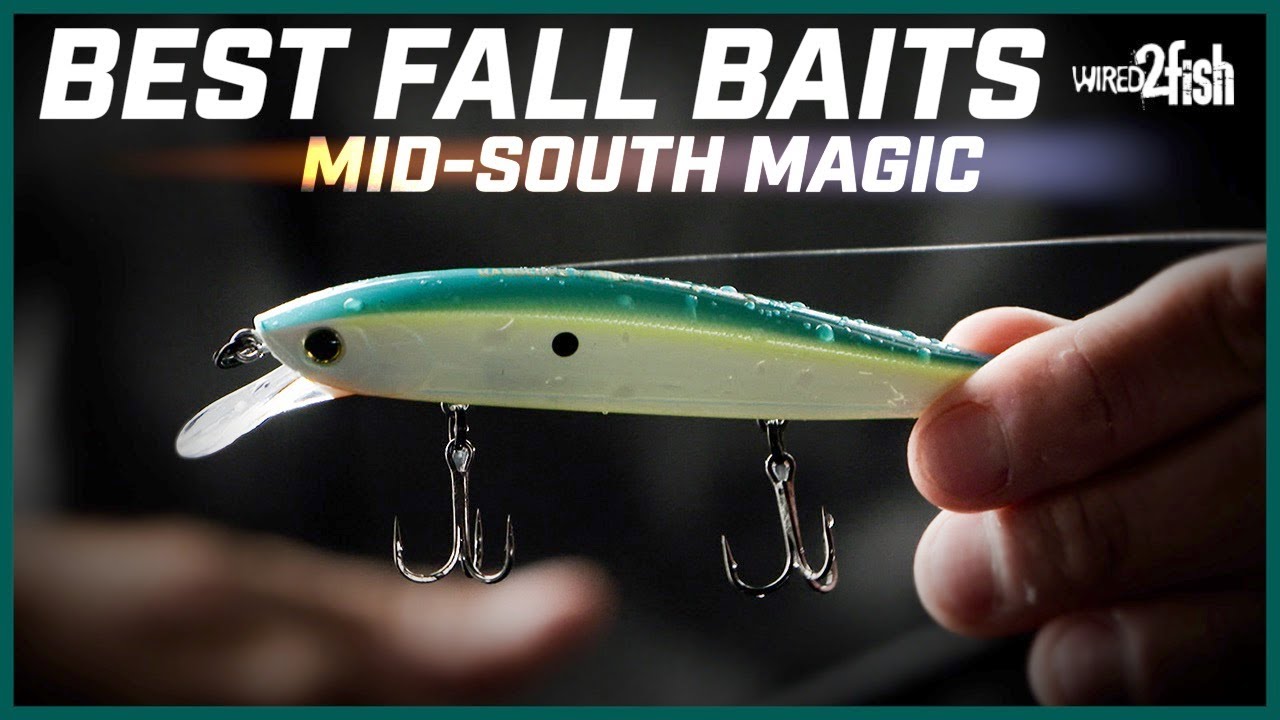 3 Prime Fall Bass Baits for Mid-South Lakes - YouTube