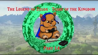 The Legend of Zelda - Tears of the Kingdom Playthrough Part 14 - 5/31/23 - Past Twitch Stream