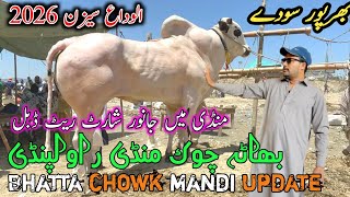 bhatta chowk mandi 2026 update - i12 mandi 2026 ll sangjani mandi ll bata chowk mandi 2026 - jamiltv