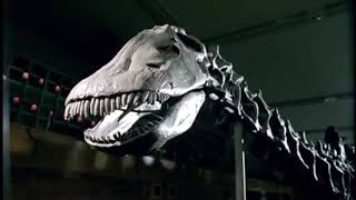 The Introduction - Walking With Dinosaurs The Ballad Of Big Al - Bbc