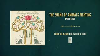The Sound of Animals Fighting &quot;Interlude&quot;