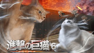 【猫ミーム】進撃の巨猫　第6話　Attack on Cat ep.6