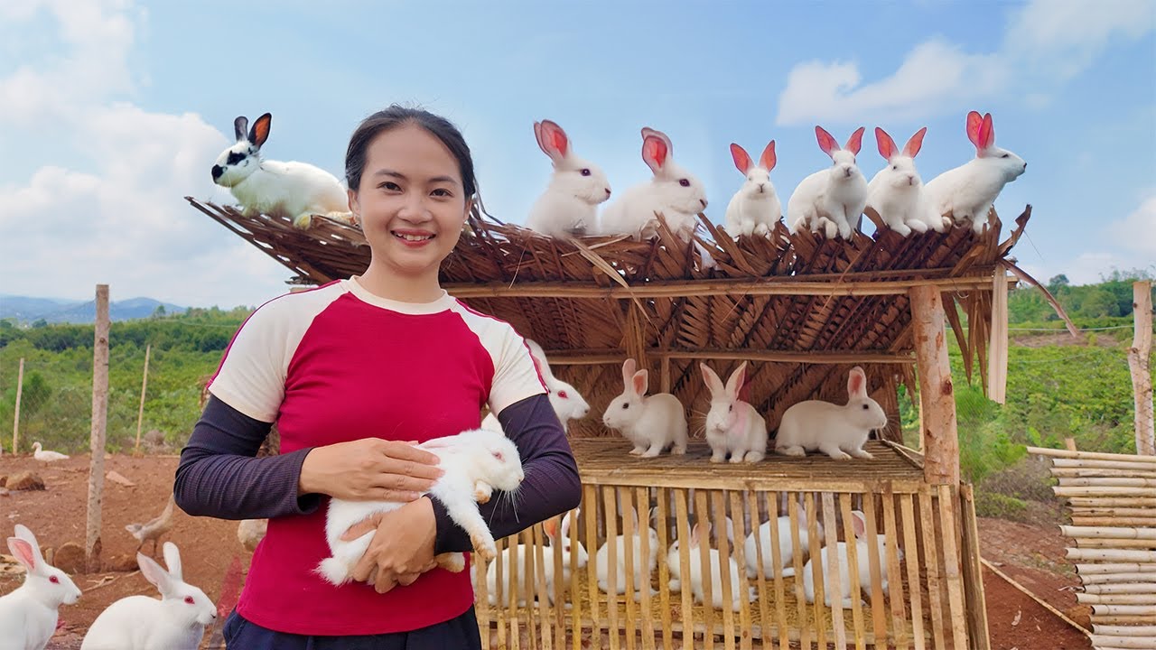 Build a bamboo rabbit cage with my sister, welcome the beautiful white ...