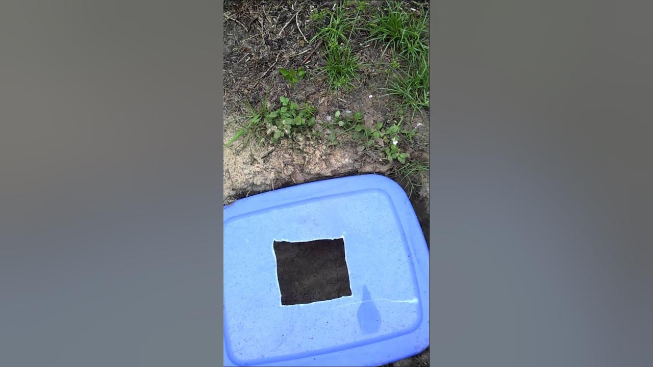 How to make a pet Waste composter YouTube