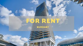 For Rent: Mountain View 1BR Brand New Condo Concord Brentwood Burnaby| 【出租】本拿比全新山景1房公寓 | 溫哥華出租