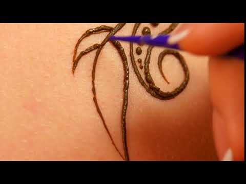 Art of Mehendi Henna. Tattoo Master Go on Working on Models Back @taratries1671