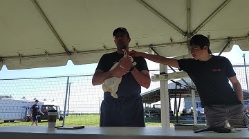 Rabbit processing is about to begin. Part 3 of 4