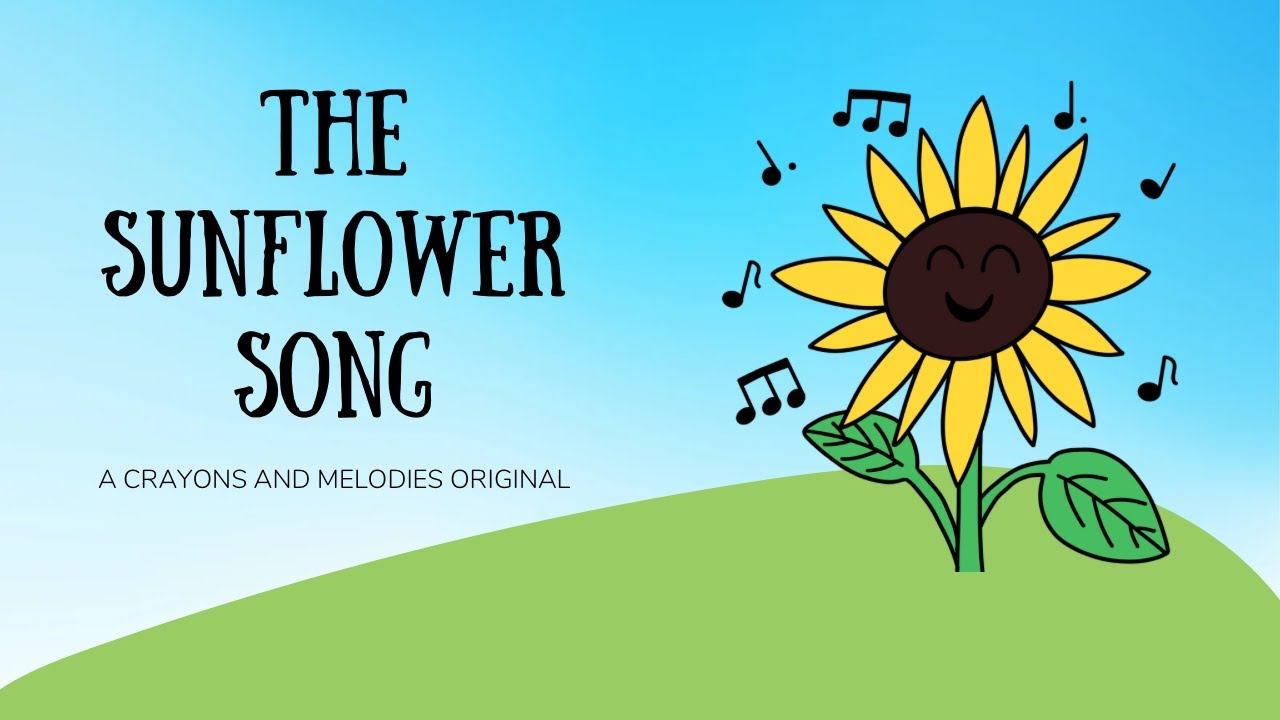 The Sunflower Song   Preschool and Kindergarten Music