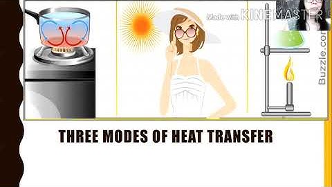 Introduction to Cookery