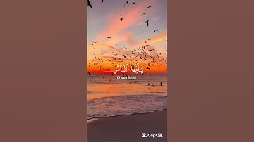 تلاوة هادئة تريح الاعصاب ⁦♥️⁩ 🎧 قران كريم بصوت جميل جدا،،❤️تلاوة عطرة