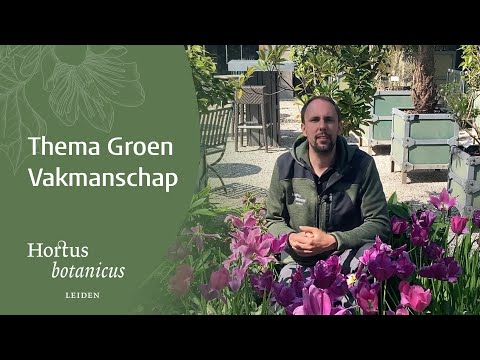 Video: Wat kan ik doen als botanicus?