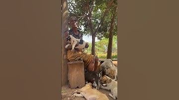 Please don’t scroll, leave this dog a flower 🌺 if you’re a dog lover 🔗 in bio to donate 🐾#rescuedog