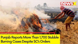 Punjab Reports More Than 1,700 Stubble Burning Cases | Cases Rise Despite SC Orders | NewsX