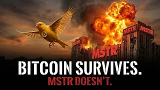 Is MicroStrategy a Ponzi? The Mathematical Truth Behind the 650k BTC