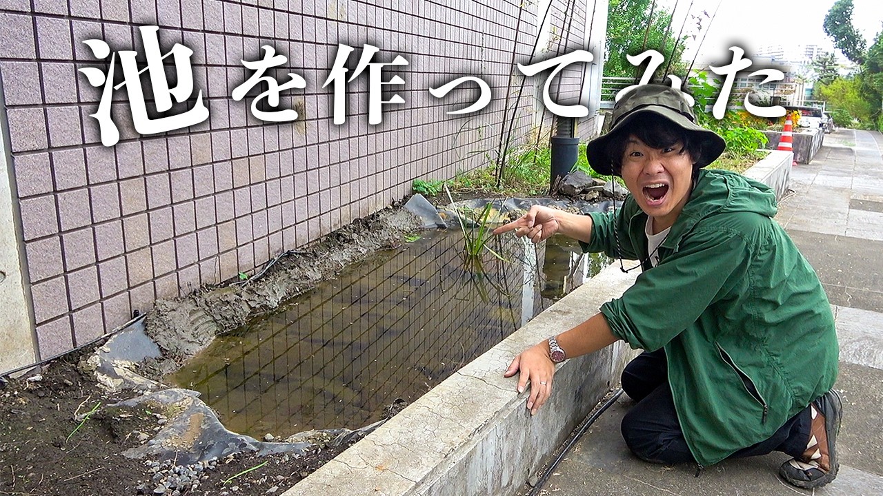 使っていない花壇で生物が集まる池を作ってみた！