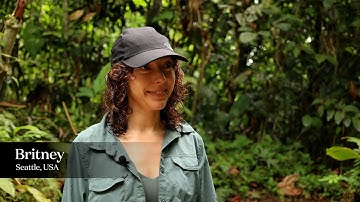 Review of the Temples 12-Day Ayahuasca Retreat - Britney