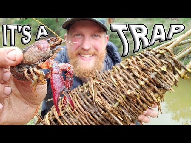 Primitive Catch and Cook Crawfish Trap /Day 17 Of 30 Day Survival Challenge  Texas 