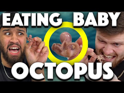 EATING OCTOPUS CHALLENGE! -You Should Know Podcast- Episode 96