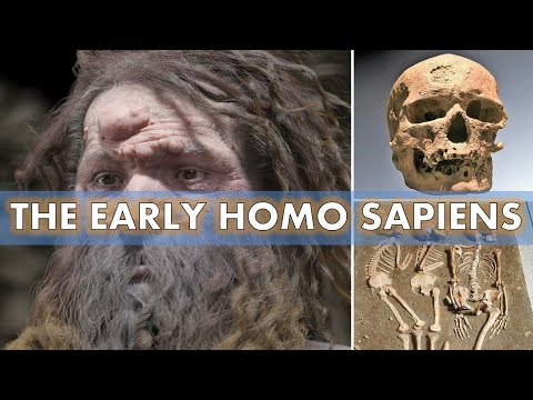 The Early Homo Sapiens | Cro-Magnon Man , Grimaldi Man and The Chancelade