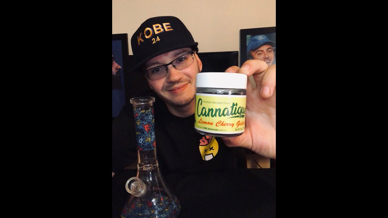 The Lemon Cherry Gelato Strain Review Featuring Cannatique From Calma In West Hollywood, CA