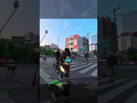 Der Biker traf einen klugen Fußgänger 😁