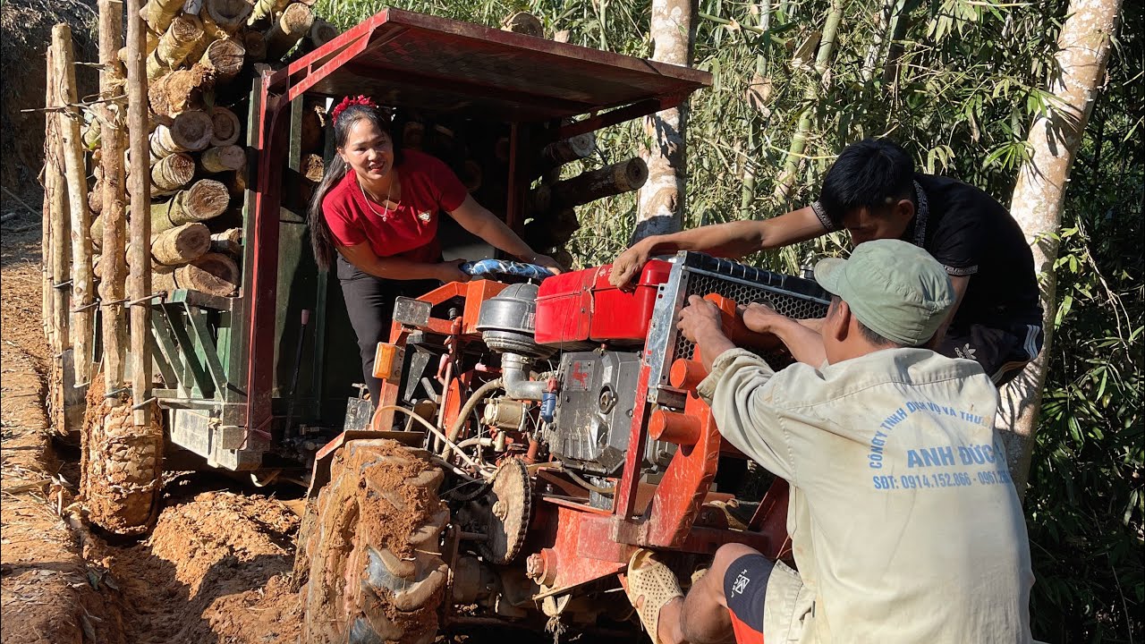 The girl's agricultural vehicle transporting timber and all her colleagues were trapped.