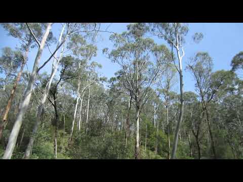 Off the beaten path.. in Australia! =)
