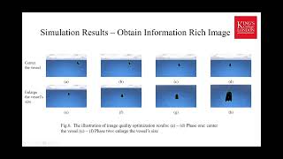 IROS2025-Autonomous UAV Control for Maritime Applications using DRL-Based Image Optimisation