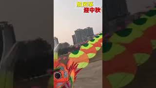 Different types of kites!! Must watch