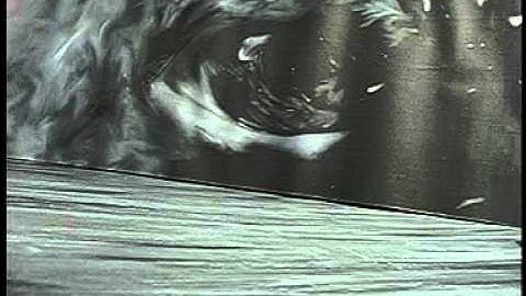 The Visuospatial Sketchpad