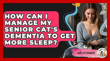 How Can I Manage My Senior Cat