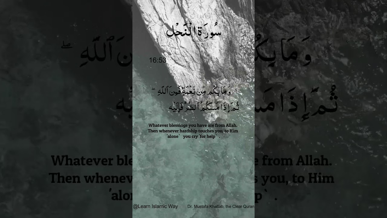 Surah Al-Nahl Ayat No 16 : 53 54 Arabic | سورۃ النحل With English Translation  #quran #allah #yts