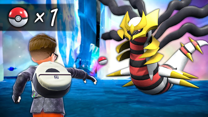 One Pokeball To Catch A Team Of Pokemon, Then We Battle!