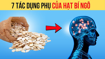DỪNG NGAY VIỆC ĂN HẠT BÍ NGÔ NẾU BẠN CHƯA BIẾT NHỮNG TÁC DỤNG PHỤ SAU ĐÂY CỦA HẠT BÍ NGÔ